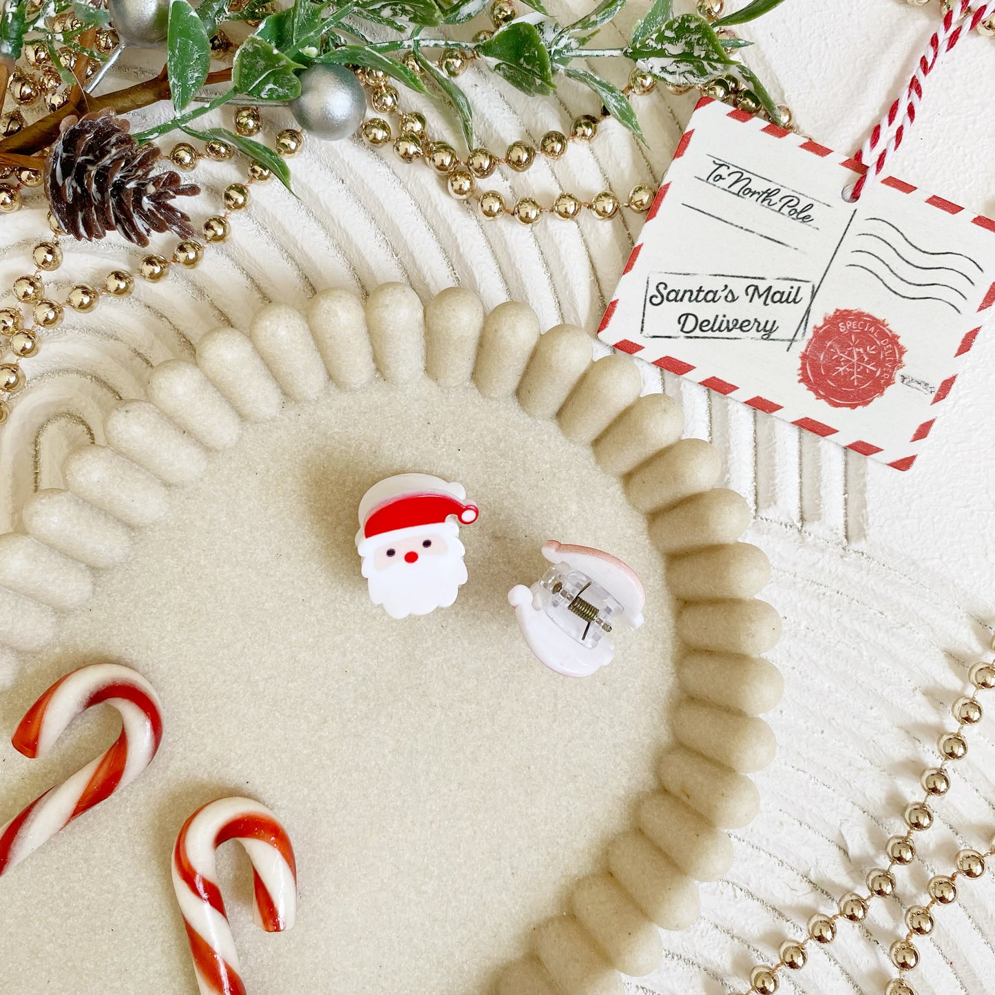 Santa Claws Mini Clip Set