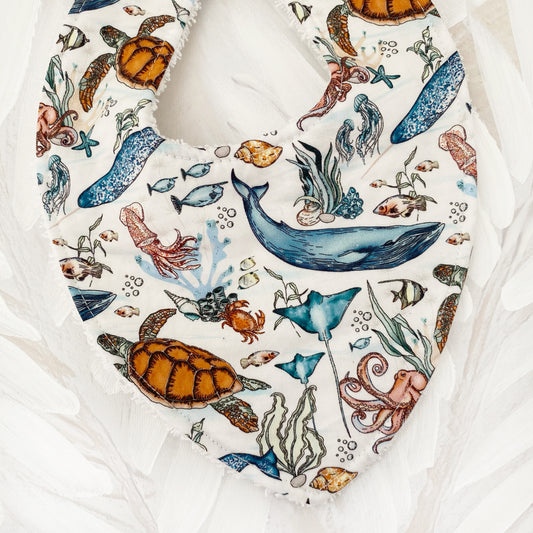 Ezra Bib