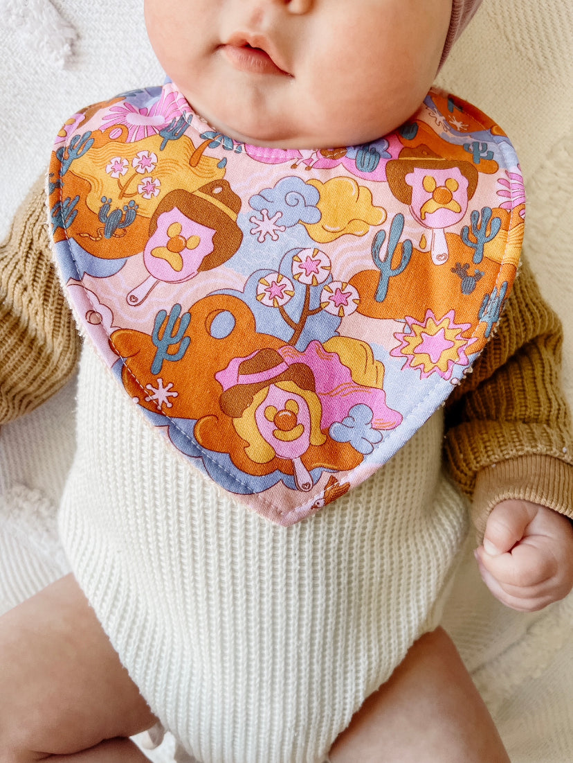 Dribble Bibs