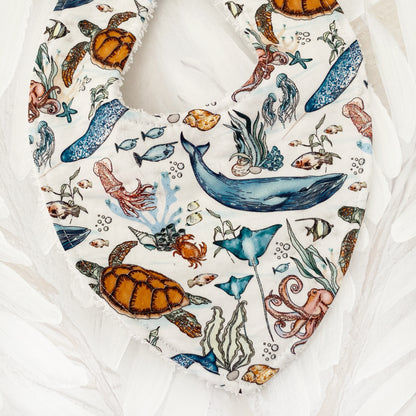 Ezra Bib
