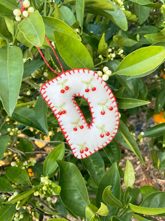 ✨🍒 Cherry Christmas Felt Letter Ornament