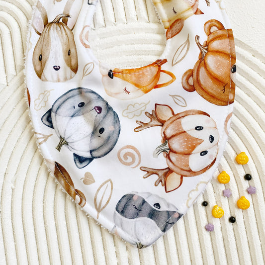 Pumpkin Patch Bib